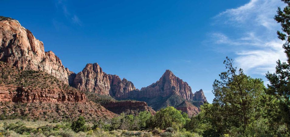 Tall rock formations, trees, and a clear sky at Zion National Park in Utah.