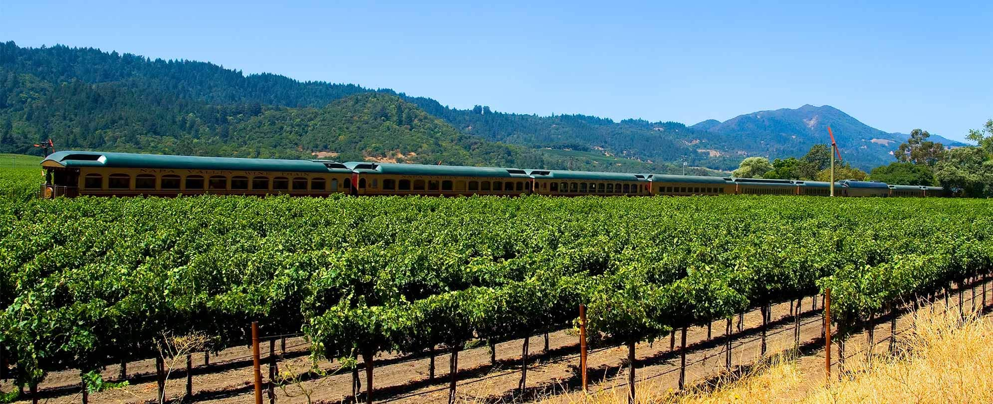 The Napa Valley Wine Train passing through a vineyard.